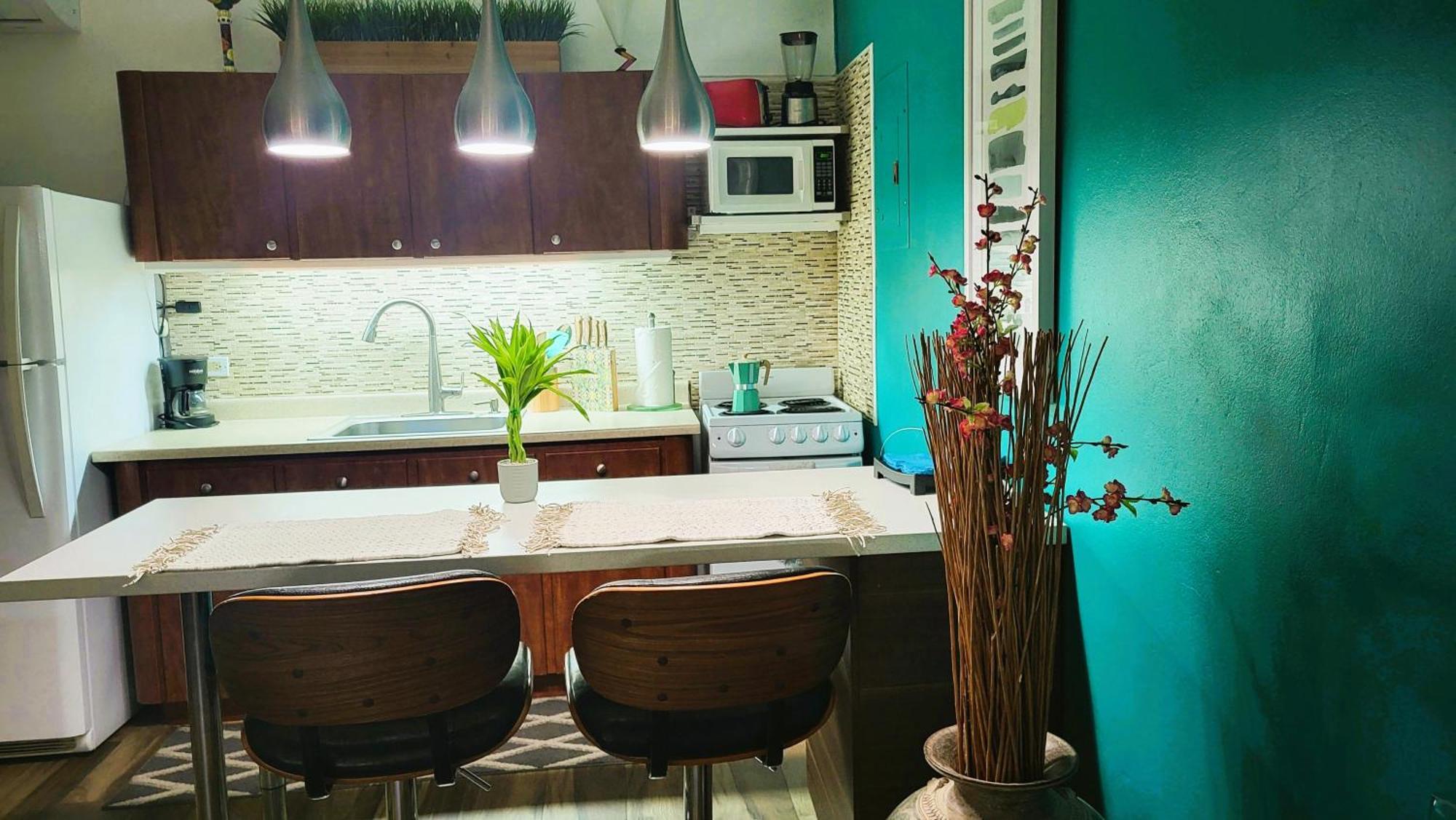 Cozybeach Large 1Bdrapt 50 Steps From Atlantic Ocean Private Street Between Ocean Park & Isla Verde 5 Mins From Airport San Juan Buitenkant foto
